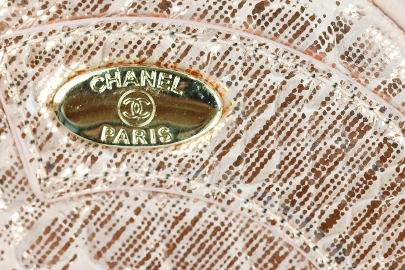 CHANEL 2019 MANIA CAMERA CASE METALLIC PYTHON AND LEATHER SHOULDER BAG