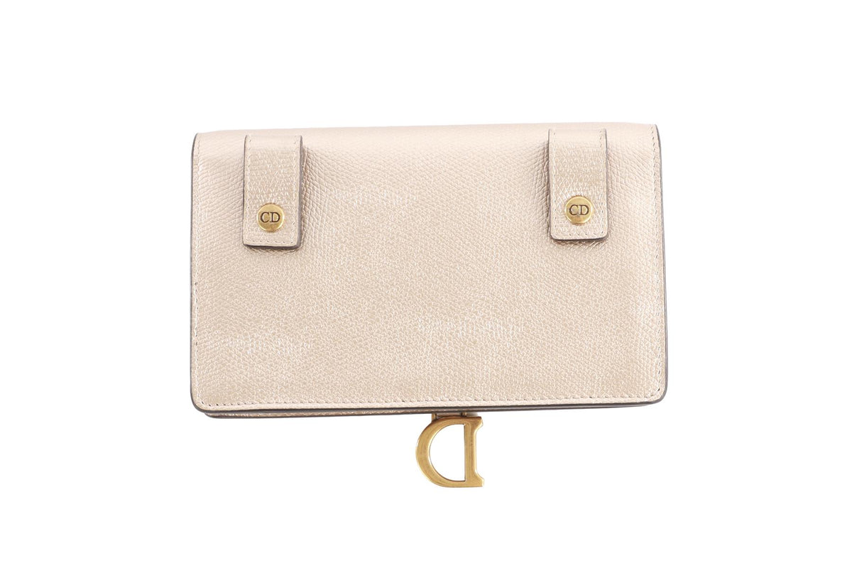 CHRISTIAN DIOR METALLIC SADDLE LEATHER BELT BAG