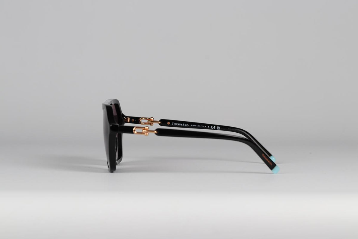 TIFFANY & CO HARDWEAR ACETATE SUNGLASSES