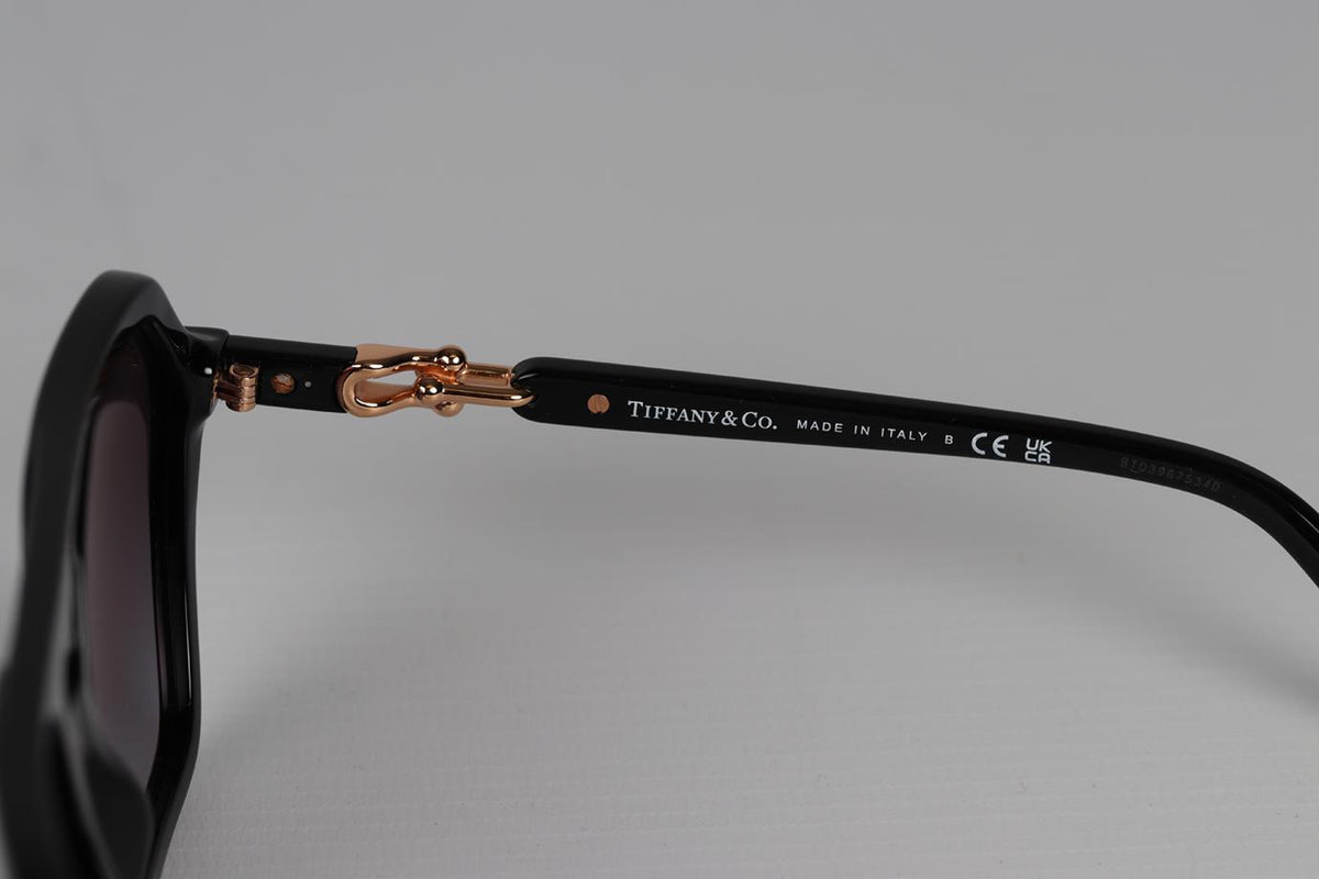 TIFFANY & CO HARDWEAR ACETATE SUNGLASSES
