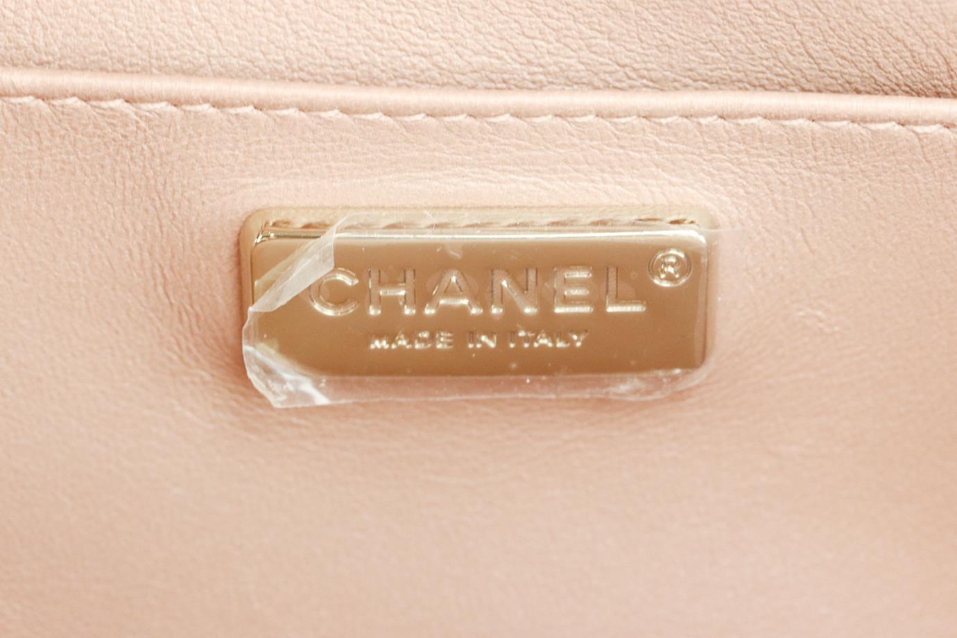 CHANEL 2019 MANIA CAMERA CASE METALLIC PYTHON AND LEATHER SHOULDER BAG