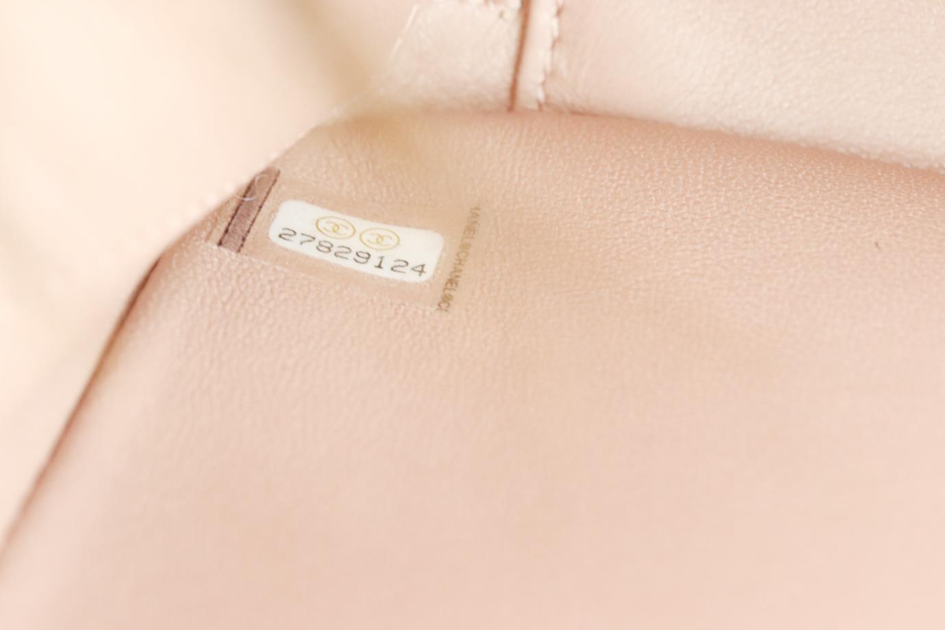 CHANEL 2019 MANIA CAMERA CASE METALLIC PYTHON AND LEATHER SHOULDER BAG