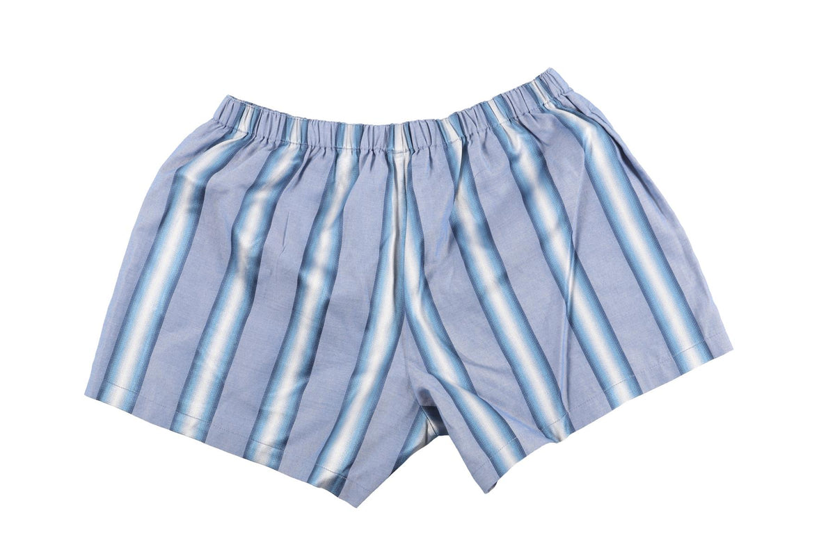 ETRO BLUE COTTON SHORTS IT 42 UK 10