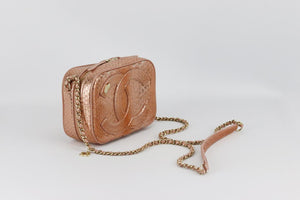 CHANEL 2019 MANIA CAMERA CASE METALLIC PYTHON AND LEATHER SHOULDER BAG