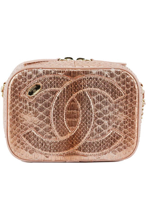 CHANEL 2019 MANIA CAMERA CASE METALLIC PYTHON AND LEATHER SHOULDER BAG