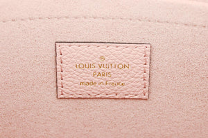 LOUIS VUITTON DAILY POUCH MONOGRAMMED COATED CANVAS AND LEATHER CLUTCH